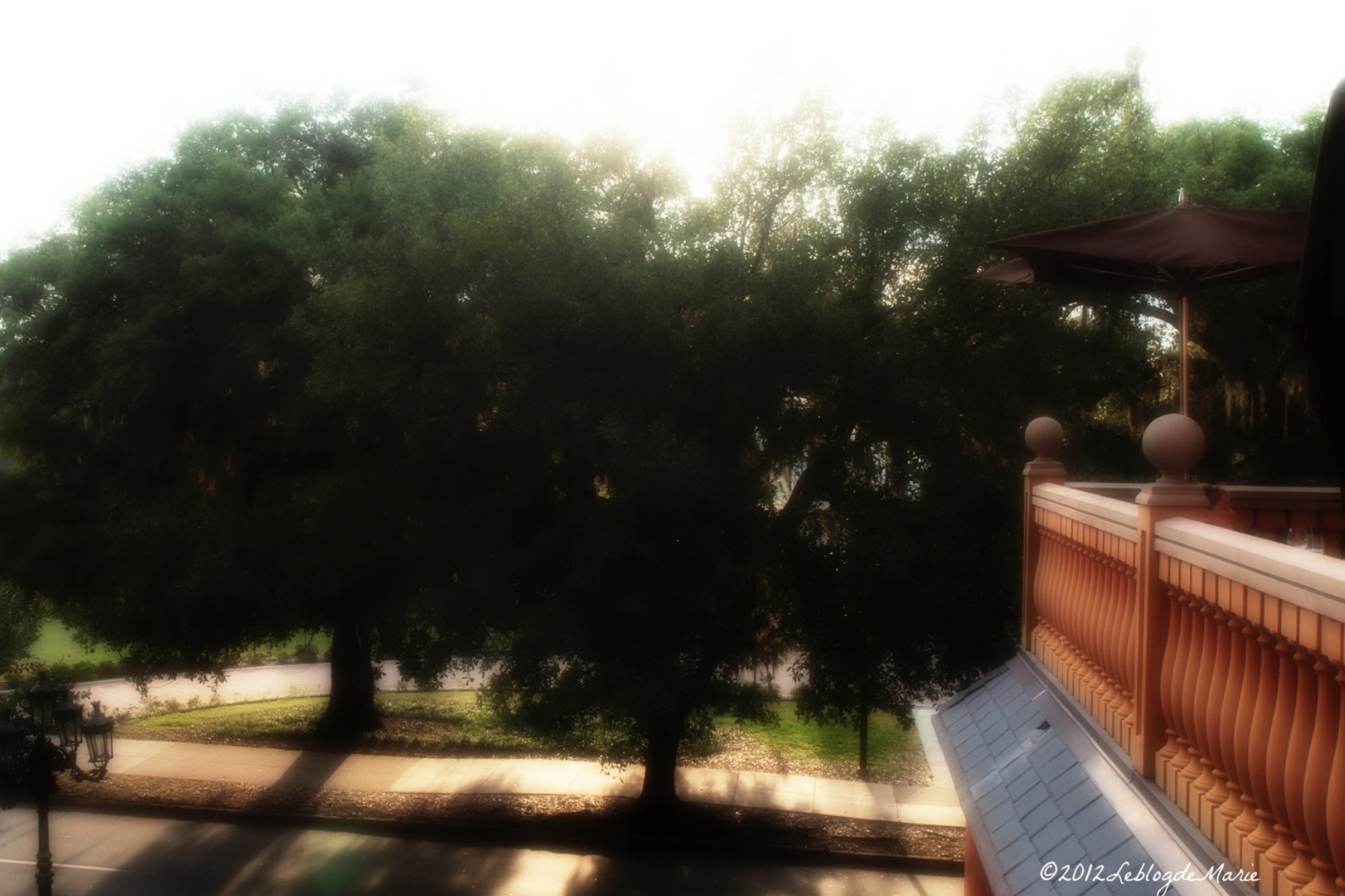 The Mansion On Forsyth Park