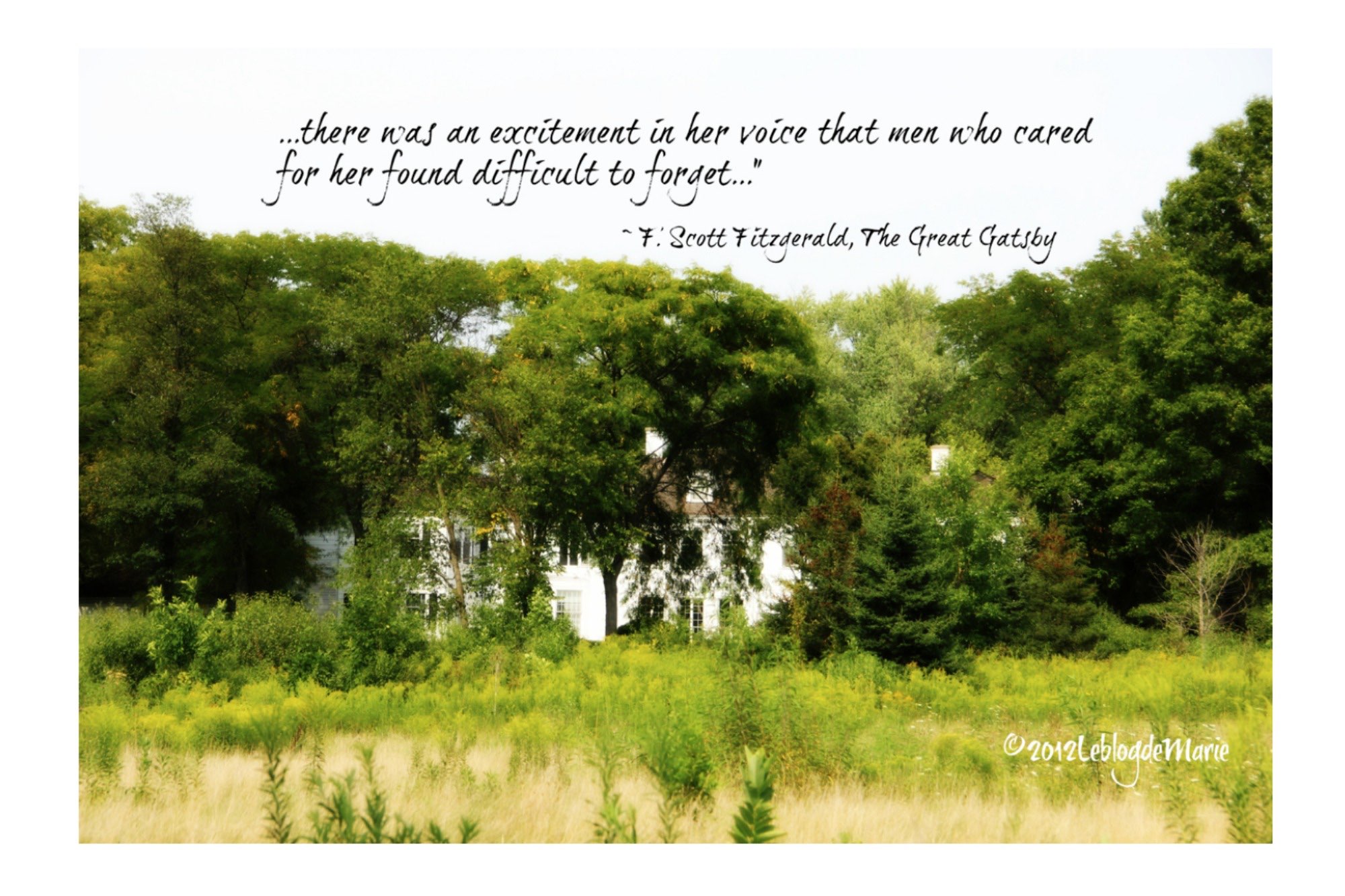 The House Where Fitzgerald Came Calling