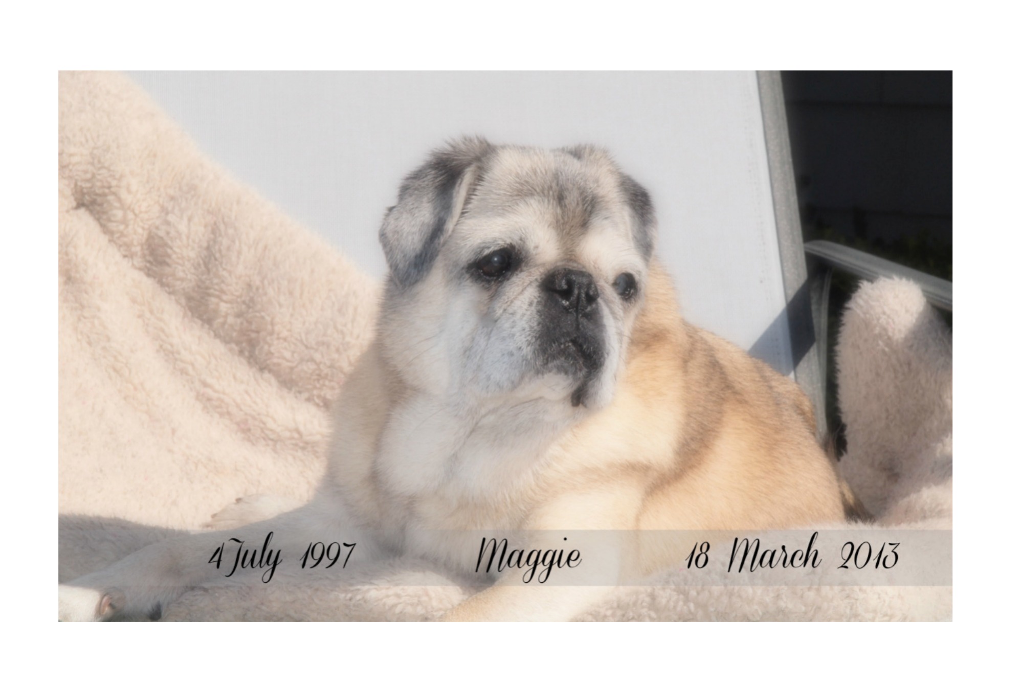 Farewell Sweet Maggie