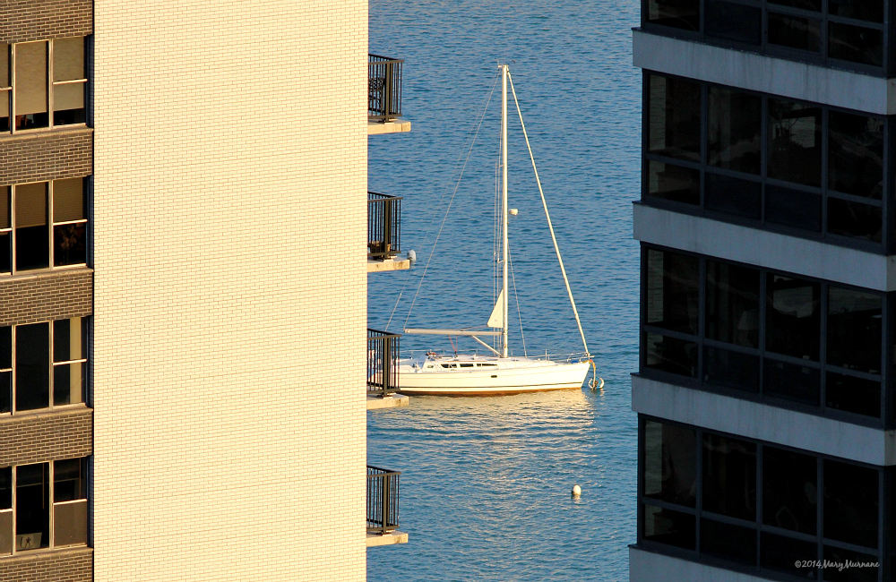 Robin Williams: A Voyage Closed