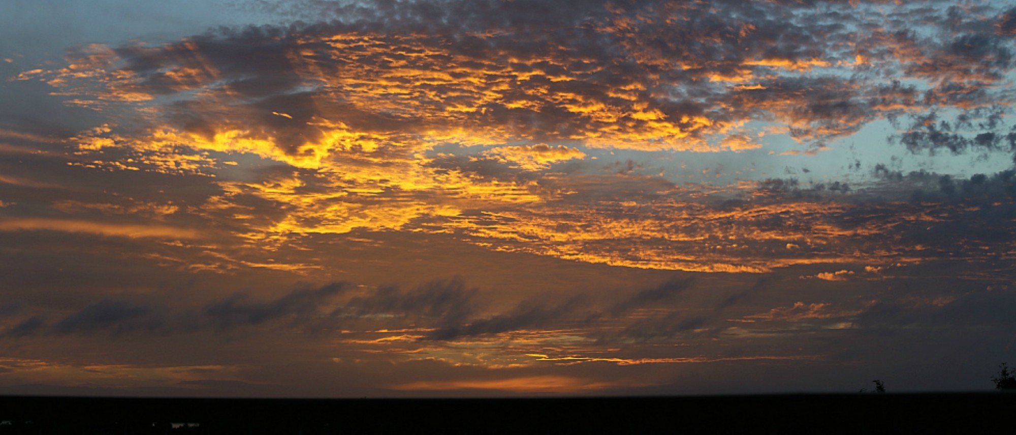 One Year Bows To The Next