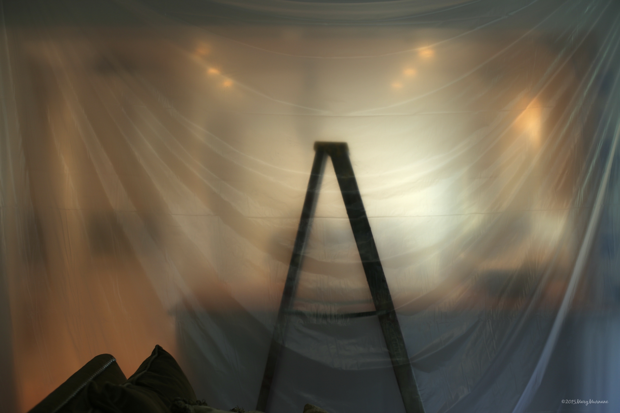 Lions And Tigers And Plastic Tarps