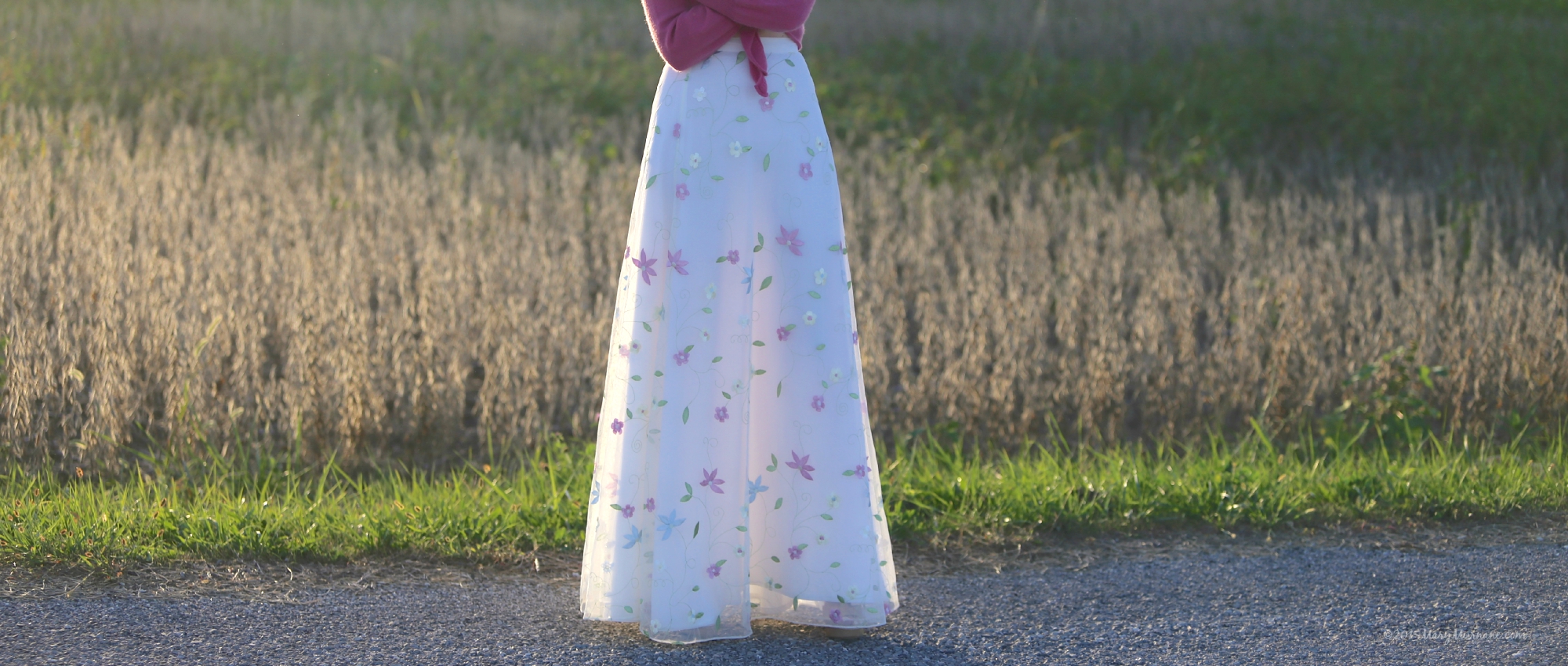 Tulle skirt bottom half