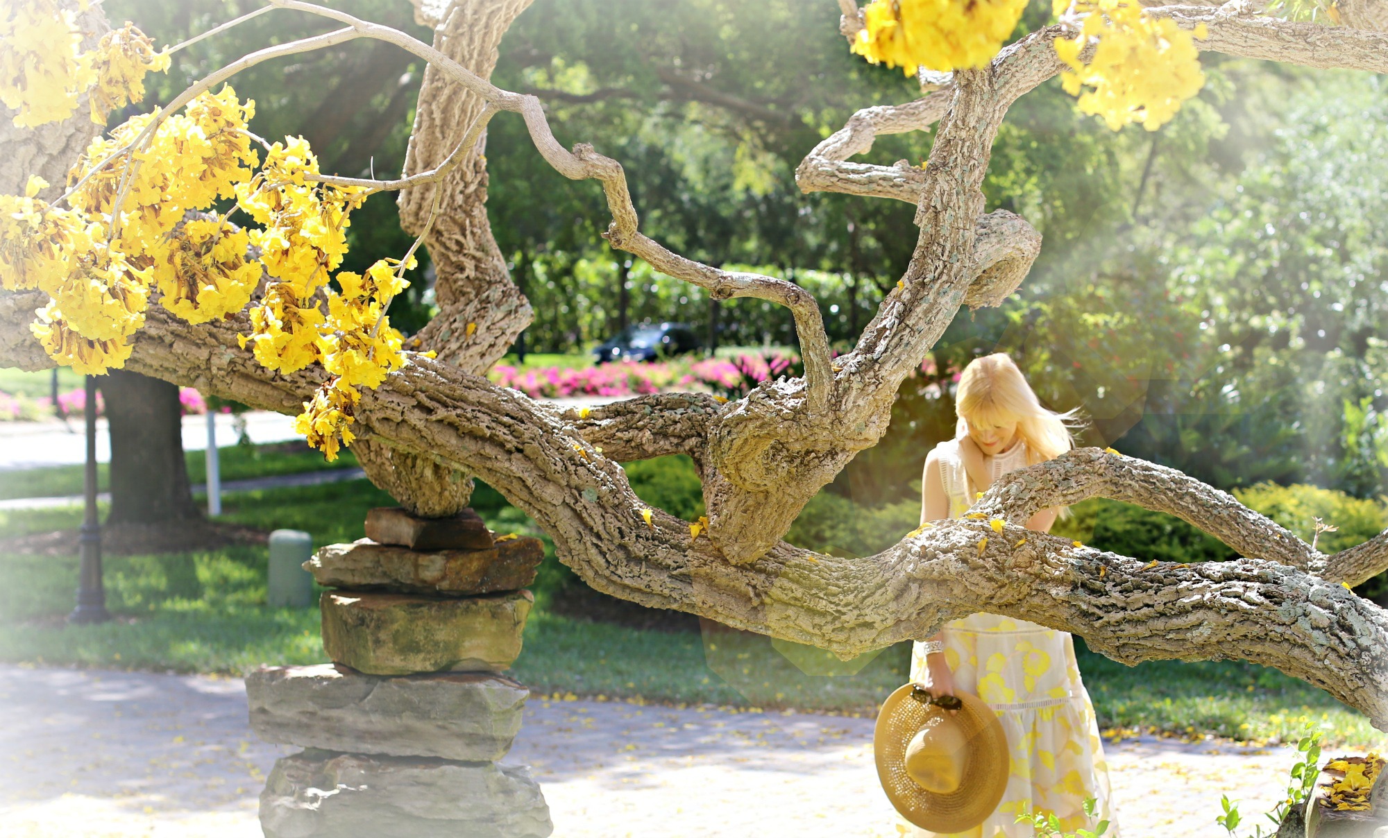 belle de fleur 5 effect 5