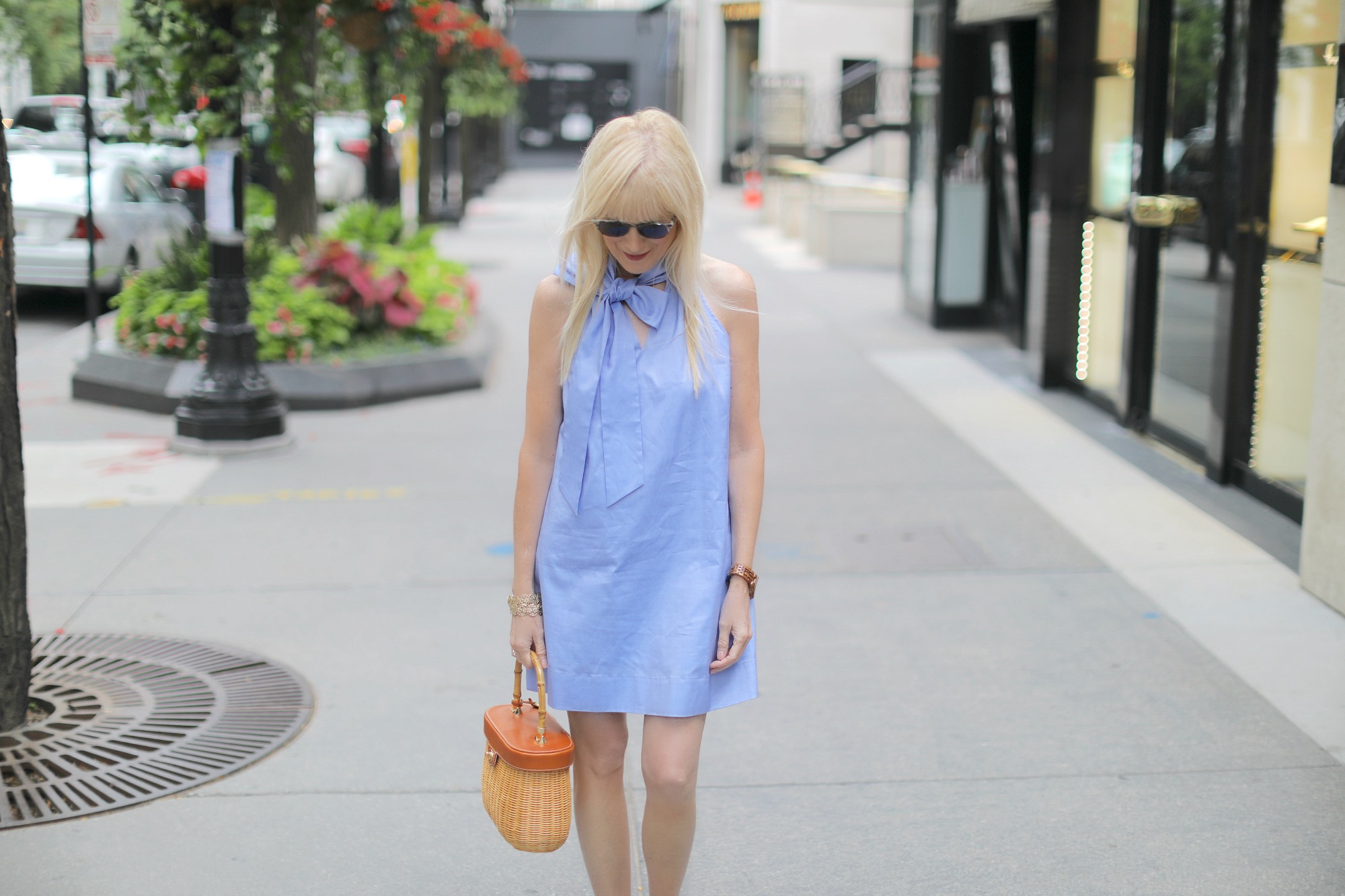 A Bow Embellished Dress