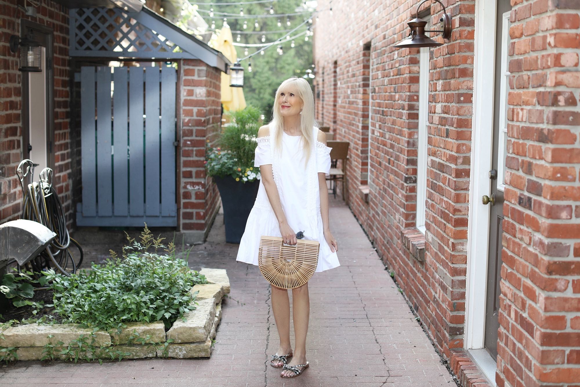 A Crisp Cotton Dress