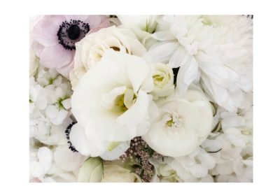 Weekend Wonders #101